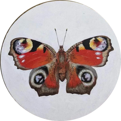 Hayley Banks
Butterfly
Acrylic on round canvas  20 cms diameter
£175