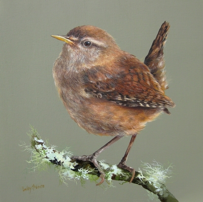 Wren on a Lichen Branch
oil on gesso board 30 x 30 cm
£650
