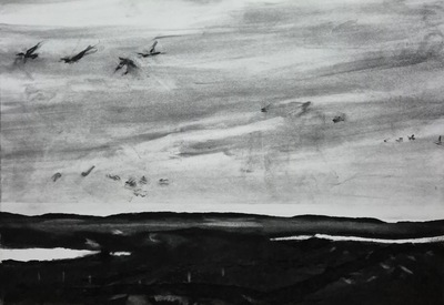 Machair Flyover - South Uist
charcoal on paper 37 x 53 cm
£470