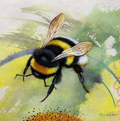 Susan Hutchison
Busy Bee
Oil on prepared paper  13 x 13 cms
£295
SOLD