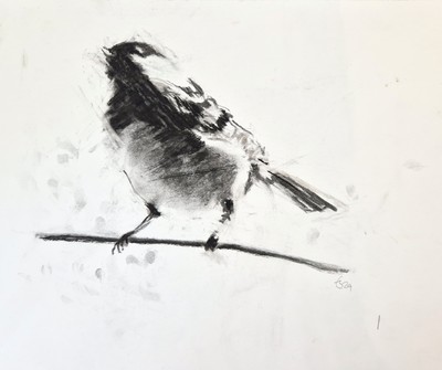 Erinclare Scrutton
Coal Tit
charcoal on paper 33 x 27 cm
£310