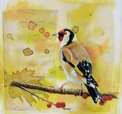 Susan Hutchison
Study of a Goldfinch
Watercolour on collage paper  18 x 18 cms
£420
SOLD