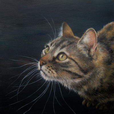 Lesley McLaren
Ready to Pounce
oil on gesso board 20 x 20 cm 
£420