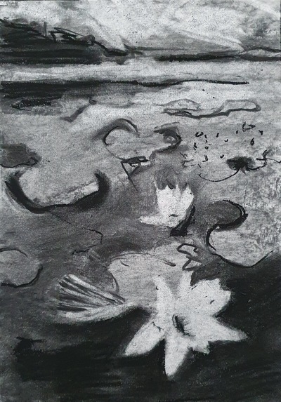 Erinclare Scrutton
Lily Pond - South Uist
charcoal  29 x 20 cm
£320