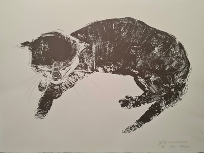 Black Puss
Screen print (1/10)
30 x 38 cms
£175 (unframed)