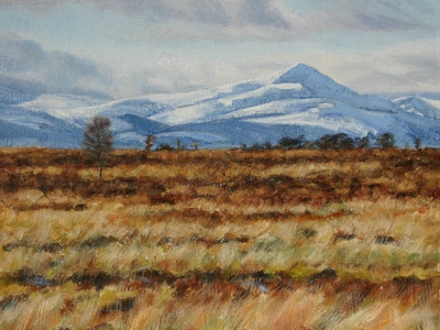 Katherine Cowtan
Bog and Snow with Ben Lomond
Oil on board  30 x 40 cms
£425