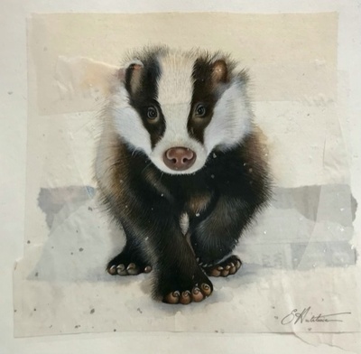 Susan Hutchison
Wee Badger
Watercolour on collage paper  16 x 17 cms
£420
SOLD