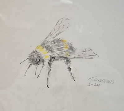 Endangered (Bee)II
pencil 21 x 23 cm
£125