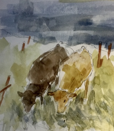 Joyce Gunn Cairns
Cows on North End, Iona
watercolour  16 x 20 cms
SOLD