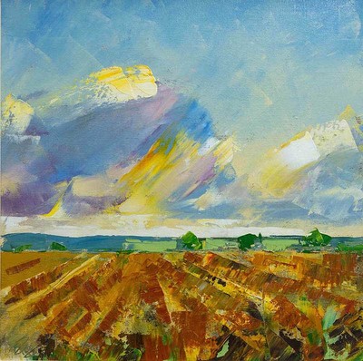 Paul Graham
Harvest Viels, Fife
Oil  40 x 40 cms
£720