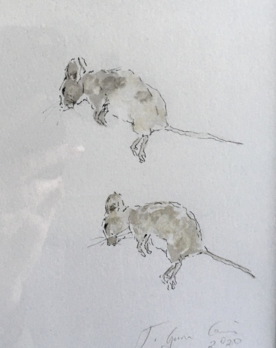 Joyce Gunn Cairns
Wee Mice
Watercolour 29 x 21 cms
£195 