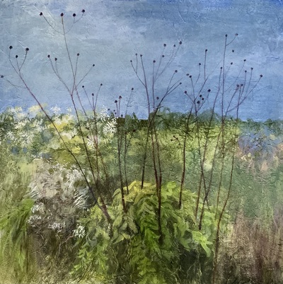 Seed Heads, Cambo Gardens, Crail
mixed media  40 x 40 cm
£850