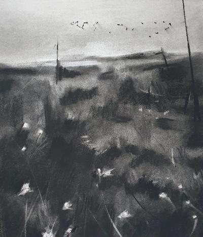 Rona’s Scrubland
Charcoal on Paper 35 x 28 cm
SOLD