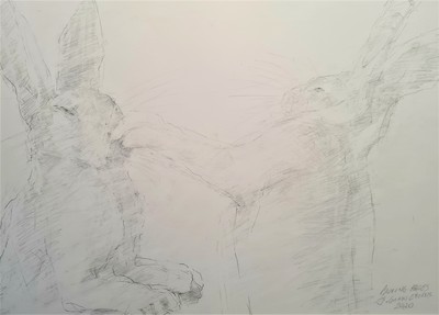 Boxing Hares
pencil  30 x 40 cms
£225 (mounted)
SOLD