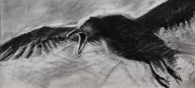 Scouting
charcoal on paper 18 x 40 cm
£370