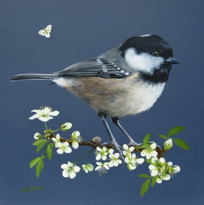 Lesley McLaren
Coal Tit on a Blossom Branch
oil on gesso board 30 x 30 cm 
SOLD