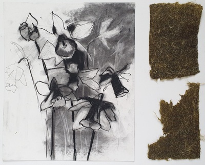 Erinclare Scrutton
Everything’s Finite - Botanical Series III
charcoal on Hahnemuhle paper and 
paper made from Daffodil stems 31 x 40cm
£500