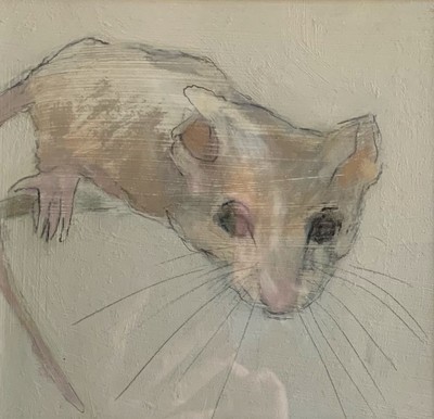 Wee Mouse
oil on board 20 x 22 cms
SOLD