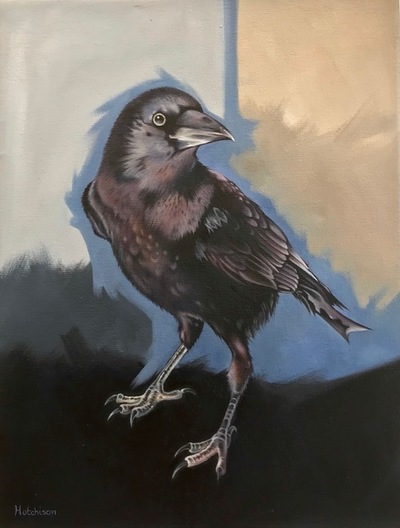 Susan Hutchison
Cunning Crow 
Oil on canvas  23 x 17 cms
£550