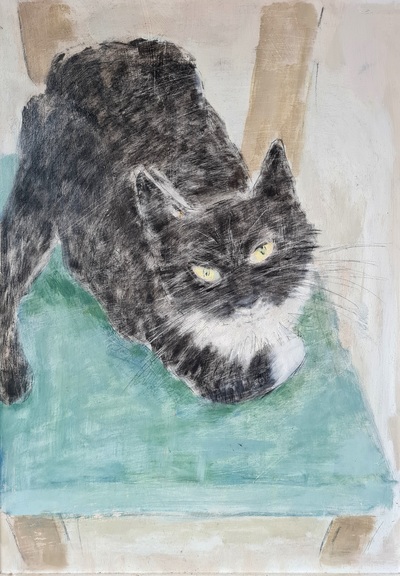 Black and White Cat on a Blue Chair
oil on board 50 x 36 cms
£650