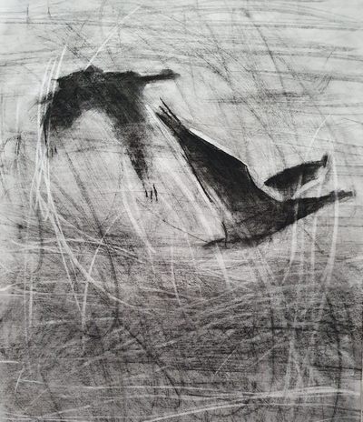 Companions
Charcoal on paper 48 x 42 cm
£320