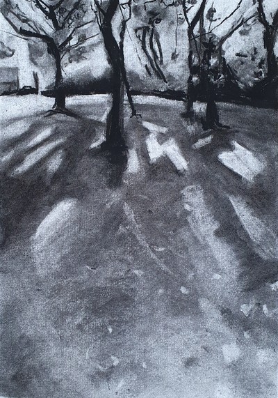 Erinclare Scrutton
Walk in Maxwell
charcoal on paper  28 x 20 cm
£280