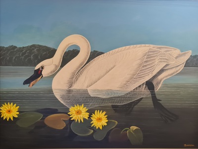 John Samson
The Swan
Oil on board  75 x 100 cms
£2900