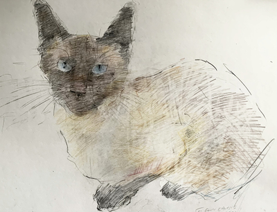 Siamese Cat
conte 25 x 35 cm
SOLD