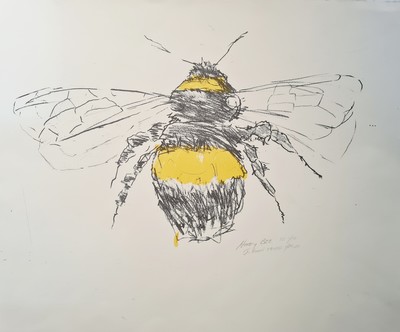 Honey Bee
Screen print (1/10)
38 x 46 cms 
£195 (unframed)