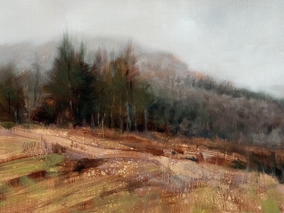 Al Bell
Stank Glen to North West
Oil on Canvas Panel  30 x 40 cms
£650