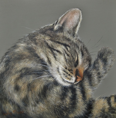 Lesley McLaren
Cat Nap
Oil on gesso board 20 x 20 cms
£395