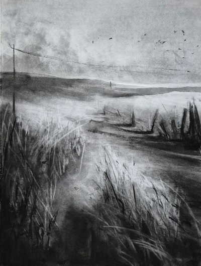 Distance Watching
charcoal on paper 51 x 37 cm
£450