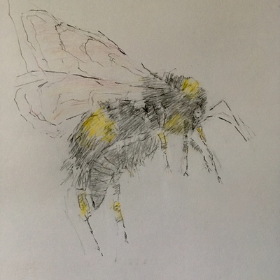 Joyce Gunn Cairns
Bees (Diptych)
Oil  20 x 20 cms
£325
SOLD