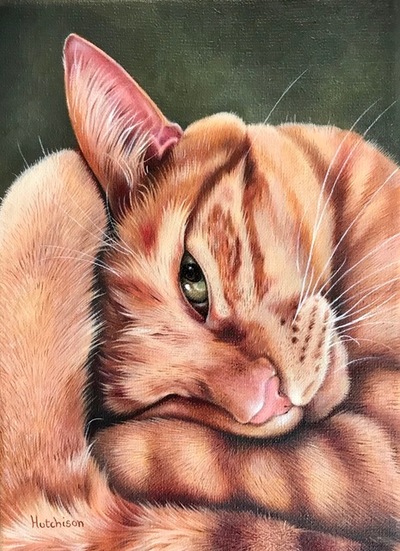 Susan Hutchison
All Curled Up 
Oil on canvas 18 x 13 cms 
£550