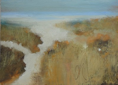 Study for 'Dunes, Sutherland'
oil on board 23 x 30 cm
£750