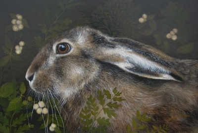 Hare in a Hedgerow
oil on gesso board  20 x 30 cm
£475
SOLD