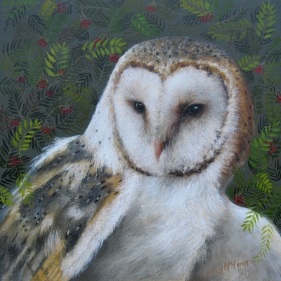 Barn Owl and Rowan Berries
oil on gesso board 20 x 20 cm
£400