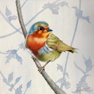 Susan Hutchison
Winter Robin
Watercolour  18 x 18 cms
£395