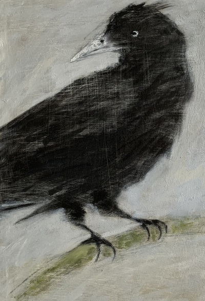 Joyce Gunn Cairns
Clever Crow
oil on board 30 x 25 cm
£450