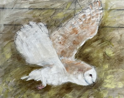 Keeping a Wary Eye
Joyce Gunn Cairns
oil on board 60 x 60 cm
£375